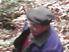Hutan seri - hutan liar